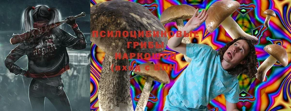 прущая мука Арсеньев